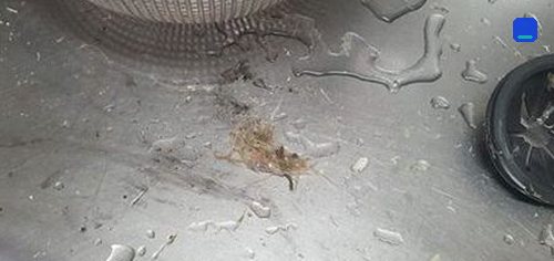부산 동구 · 전화 상담 뒤 방문 고객 글 사진