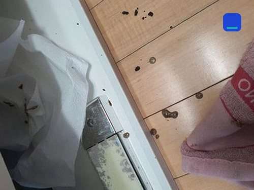 부산 동구 · 전화 상담 뒤 방문 고객 글 사진