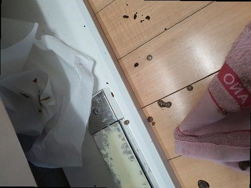 부산 동구 초량1동 하수구막힘 압력 장비와 수작업 도구를 비교해 설명하는 현장 모습